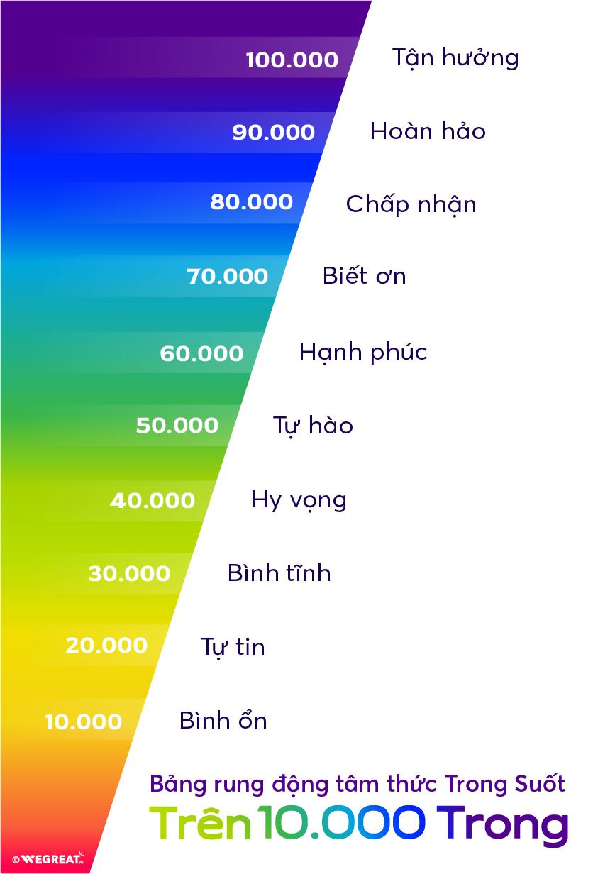 Bang rung dong tam thuc Trong Suot tren 10.000 Trong 1